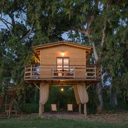 River Treehouse Laganas Exteriör bild