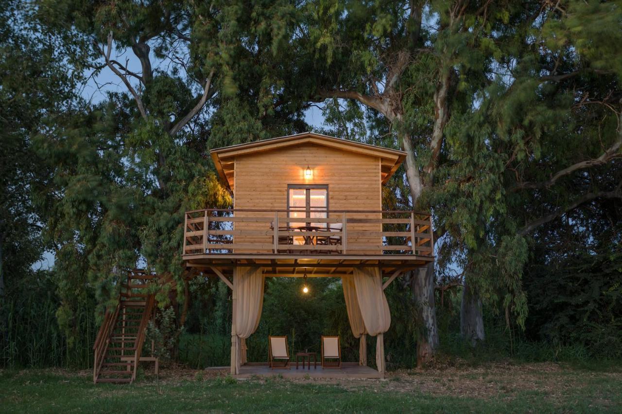 River Treehouse Laganas Exteriör bild
