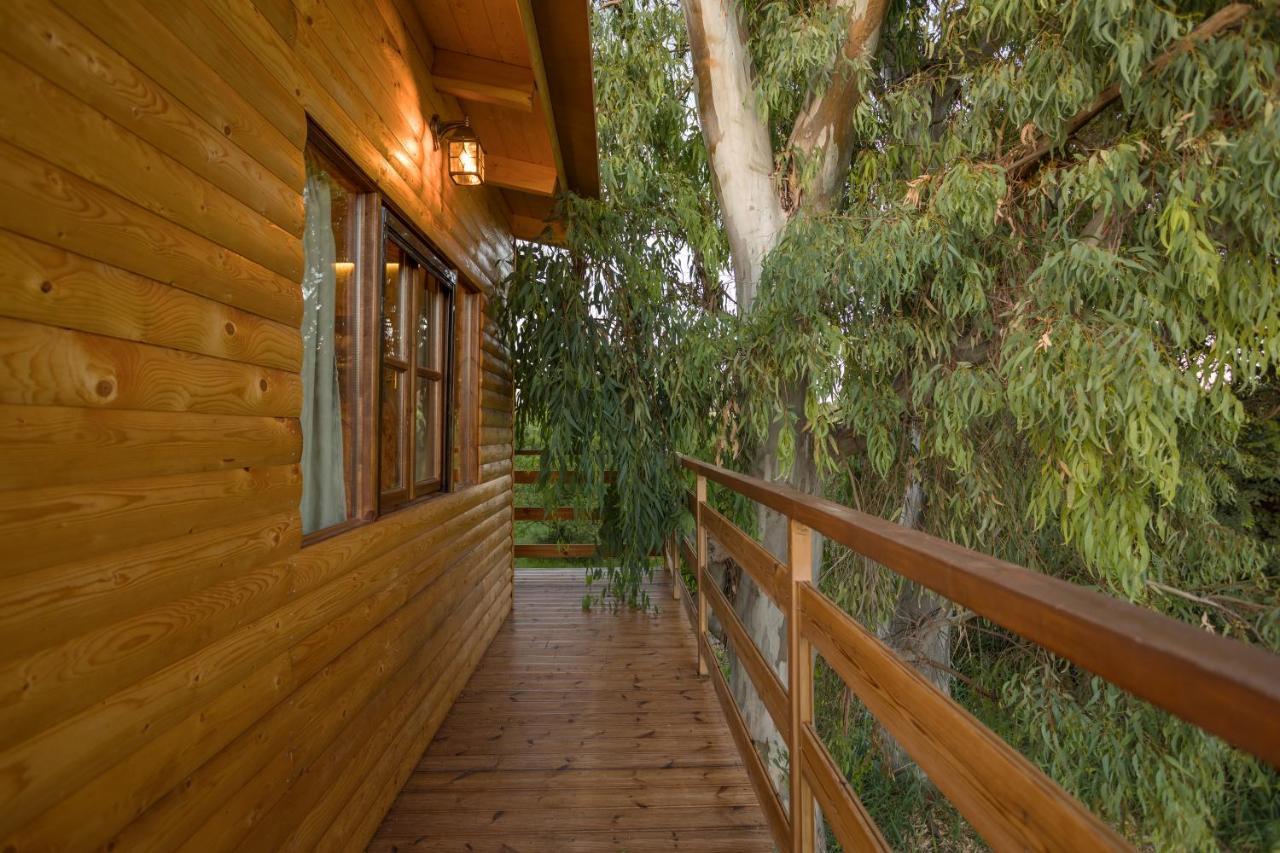 River Treehouse Laganas Exteriör bild