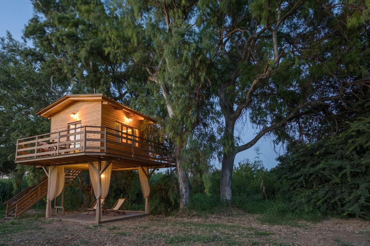 River Treehouse Laganas Exteriör bild