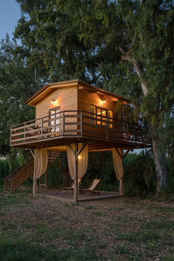 River Treehouse Laganas Exteriör bild